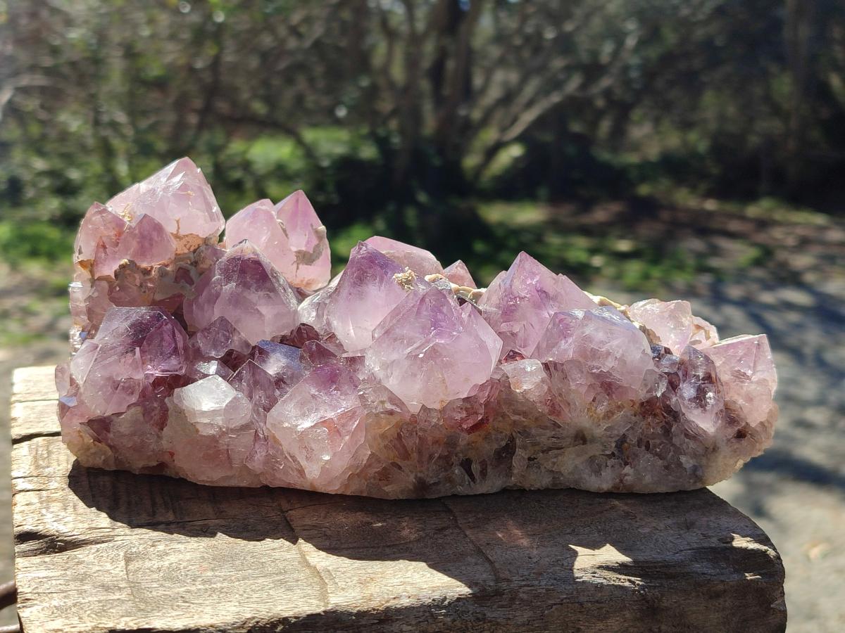 Natural Large Spirit Amethyst Cluster x 1 From Boekenhouthoek, South Africa - Toprock Gemstones and Minerals 