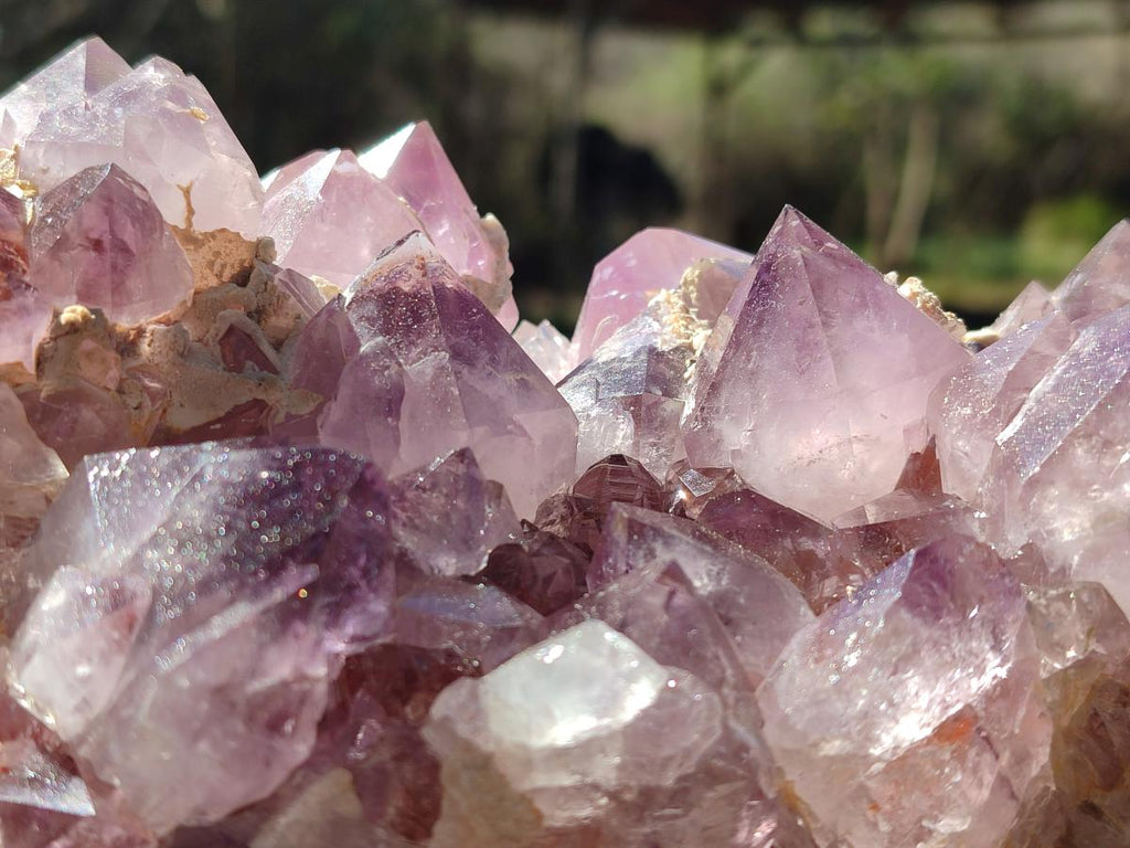 Natural Large Spirit Amethyst Cluster x 1 From Boekenhouthoek, South Africa - Toprock Gemstones and Minerals 