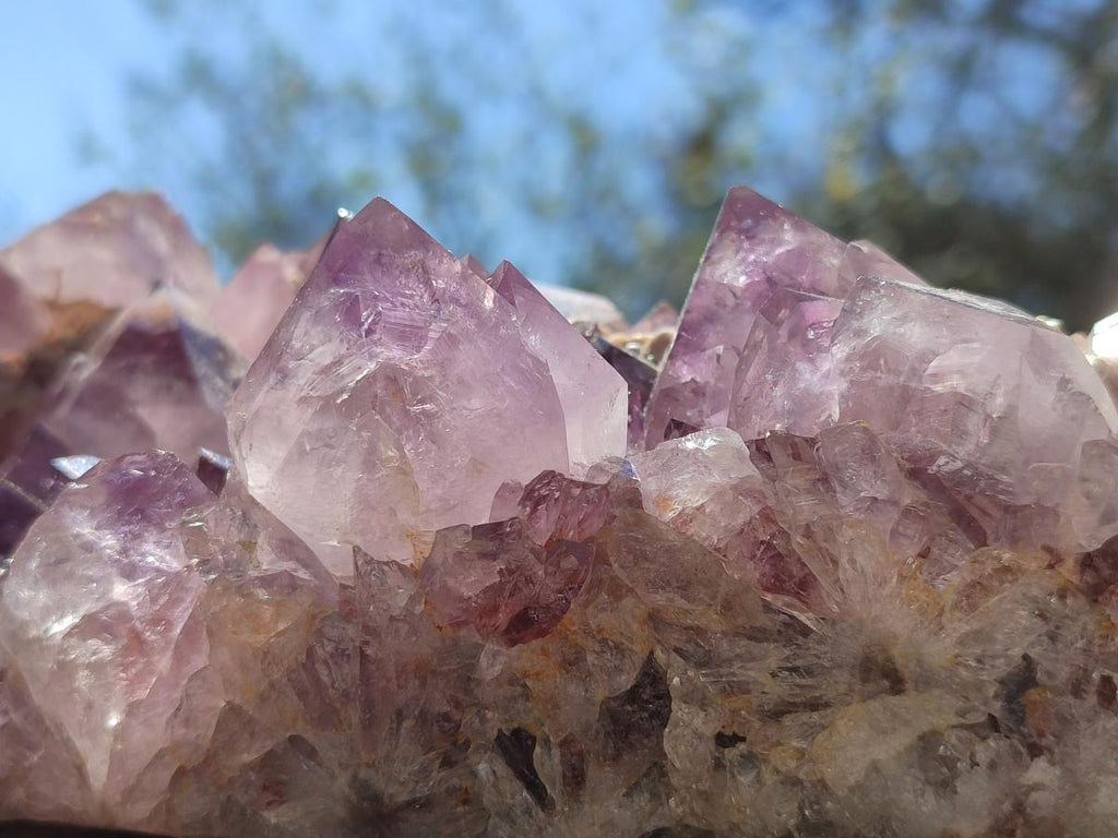 Natural Large Spirit Amethyst Cluster x 1 From Boekenhouthoek, South Africa - Toprock Gemstones and Minerals 