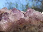 Natural Large Spirit Amethyst Cluster x 1 From Boekenhouthoek, South Africa - Toprock Gemstones and Minerals 