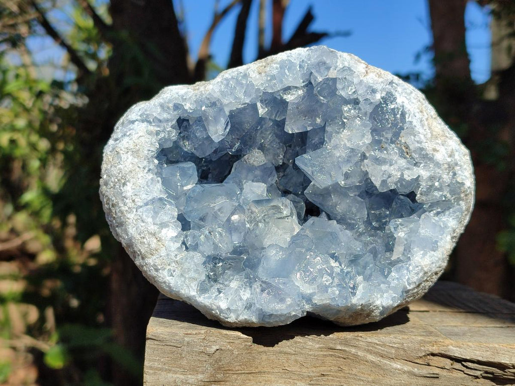 Natural Large Blue Celestite Geode Specimen x 1 From Sakoany, Madagascar - Toprock Gemstones and Minerals 