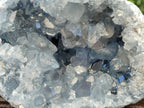 Natural Large Blue Celestite Geode Specimen x 1 From Sakoany, Madagascar - Toprock Gemstones and Minerals 