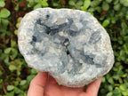 Natural Large Blue Celestite Geode Specimen x 1 From Sakoany, Madagascar - Toprock Gemstones and Minerals 
