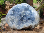 Natural Large Blue Celestite Geode Specimen x 1 From Sakoany, Madagascar - Toprock Gemstones and Minerals 