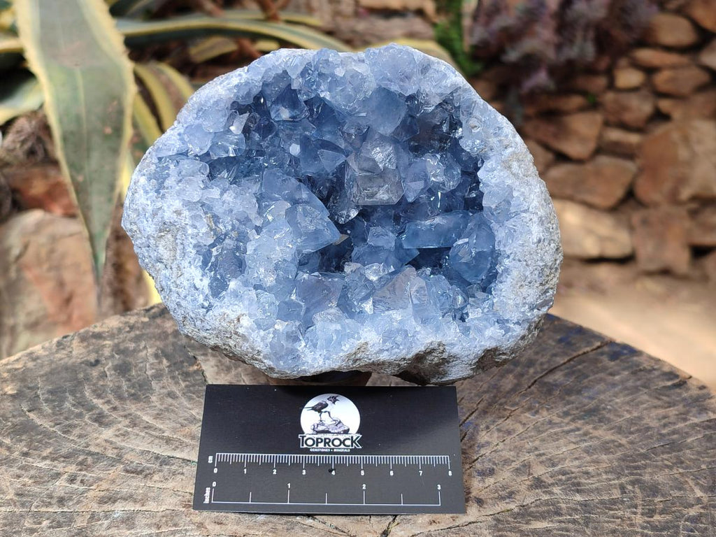 Natural Large Blue Celestite Geode Specimen x 1 From Sakoany, Madagascar - Toprock Gemstones and Minerals 