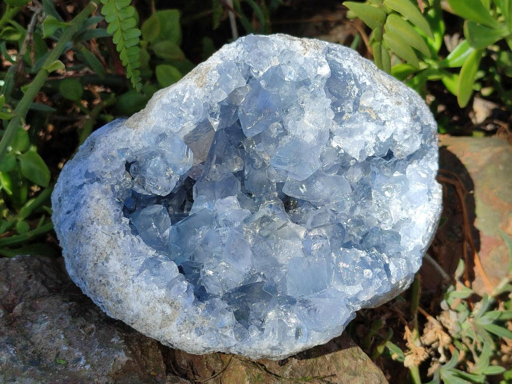 Natural Large Blue Celestite Geode Specimen x 1 From Sakoany, Madagascar - Toprock Gemstones and Minerals 