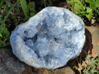 Natural Large Blue Celestite Geode Specimen x 1 From Sakoany, Madagascar - Toprock Gemstones and Minerals 