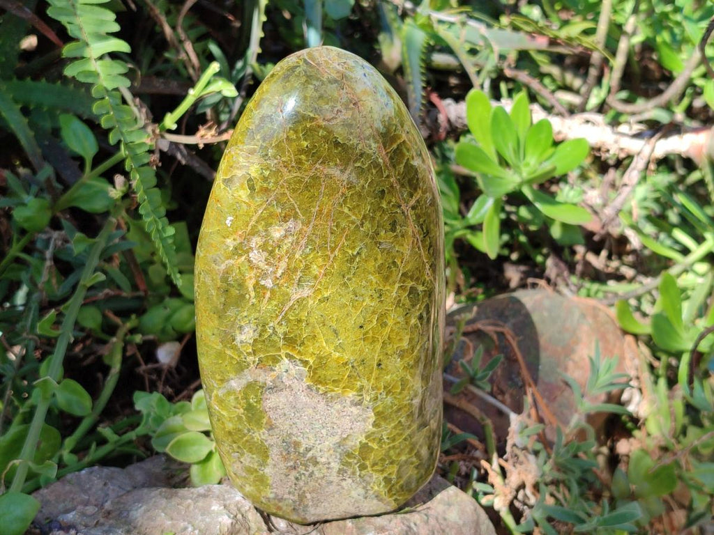 Polished Large Green Opal Standing Display Piece x 1 From Betroka, Madagascar - Toprock Gemstones and Minerals 