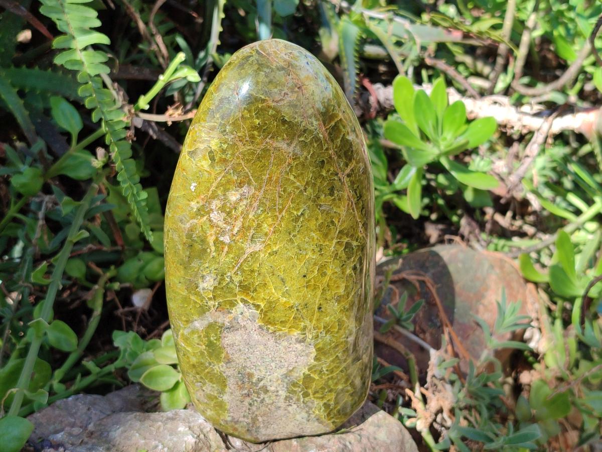 Polished Large Green Opal Standing Display Piece x 1 From Betroka, Madagascar - Toprock Gemstones and Minerals 