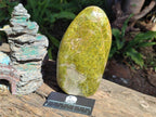 Polished Large Green Opal Standing Display Piece x 1 From Betroka, Madagascar - Toprock Gemstones and Minerals 