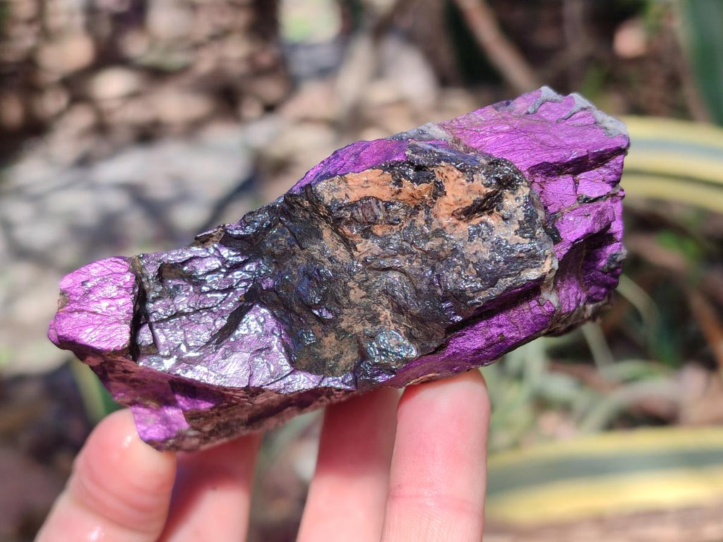 Natural Metallic Cobbed Purpurite Specimens x 6 From Erongo, Namibia - Toprock Gemstones and Minerals 