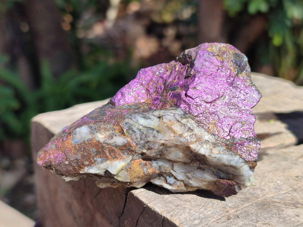 Natural Metallic Cobbed Purpurite Specimens x 6 From Erongo, Namibia - Toprock Gemstones and Minerals 