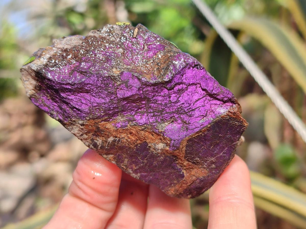 Natural Metallic Cobbed Purpurite Specimens x 6 From Erongo, Namibia - Toprock Gemstones and Minerals 