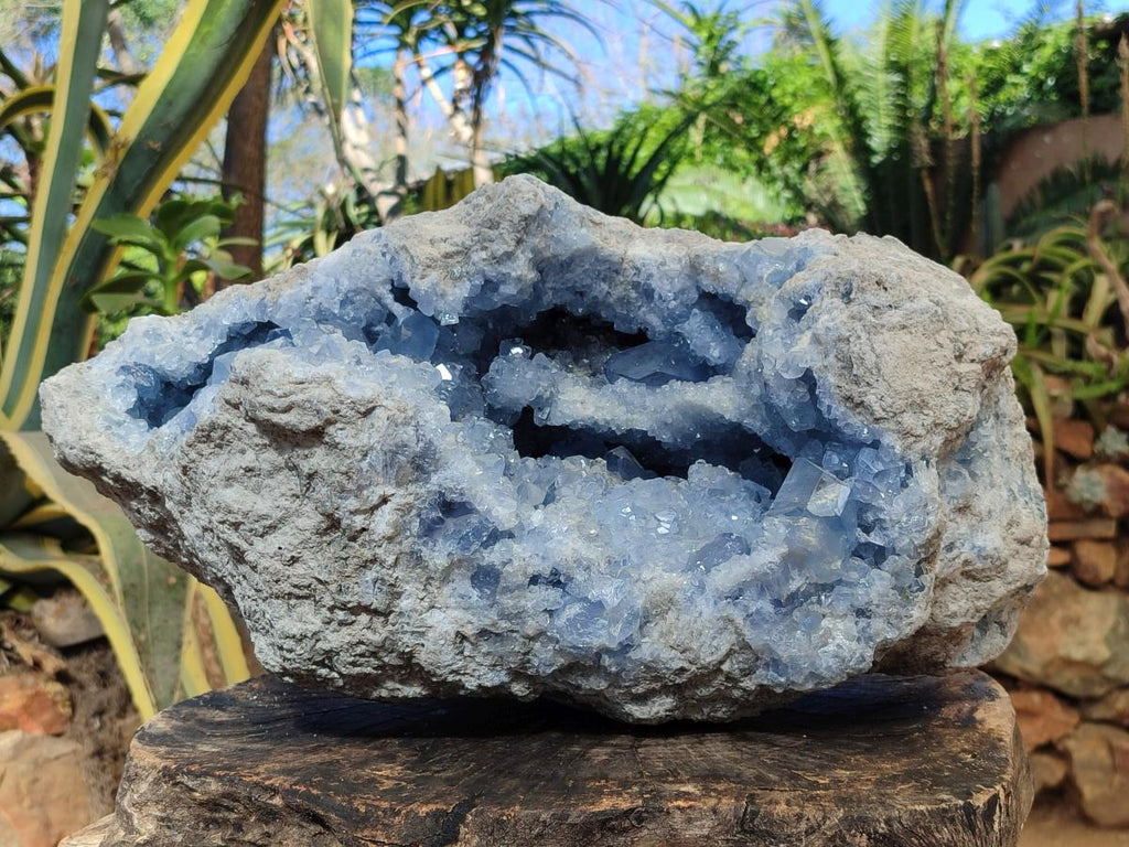Natural XL Blue Celestite Geode Specimen x 1 From Sakoany, Madagascar - Toprock Gemstones and Minerals 
