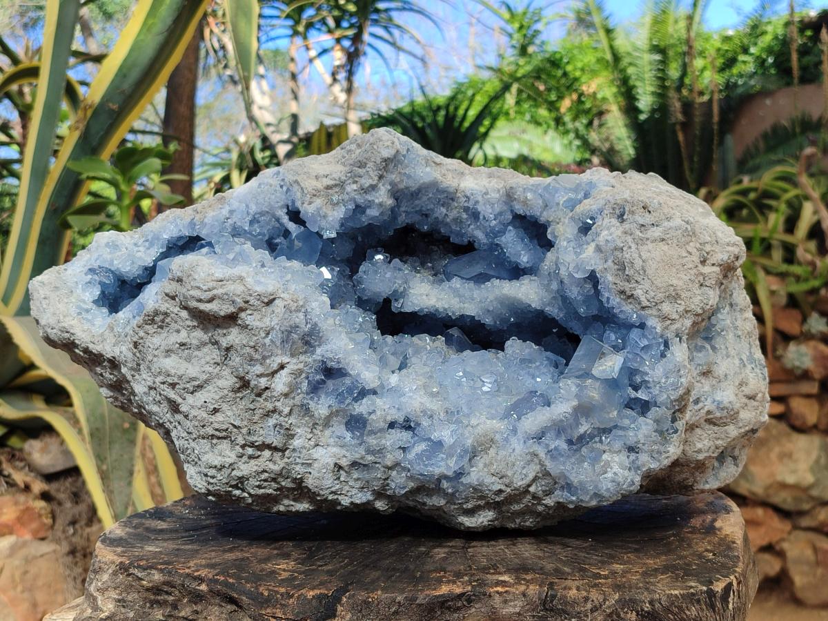 Natural XL Blue Celestite Geode Specimen x 1 From Sakoany, Madagascar - Toprock Gemstones and Minerals 