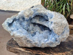 Natural XL Blue Celestite Geode Specimen x 1 From Sakoany, Madagascar - Toprock Gemstones and Minerals 