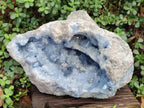 Natural XL Blue Celestite Geode Specimen x 1 From Sakoany, Madagascar - Toprock Gemstones and Minerals 