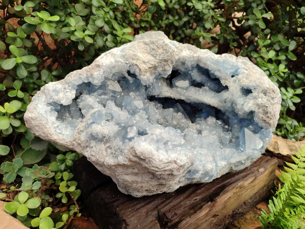 Natural XL Blue Celestite Geode Specimen x 1 From Sakoany, Madagascar - Toprock Gemstones and Minerals 