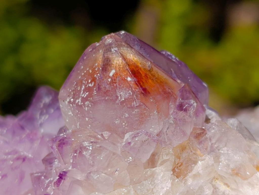 Natural Spirit Amethyst Clusters x 3 From Boekenhouthoek, South Africa - Toprock Gemstones and Minerals 