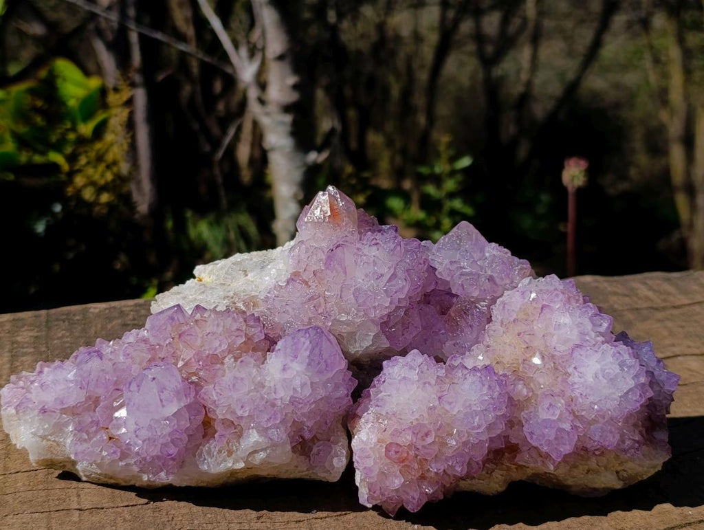 Natural Spirit Amethyst Clusters x 3 From Boekenhouthoek, South Africa - Toprock Gemstones and Minerals 