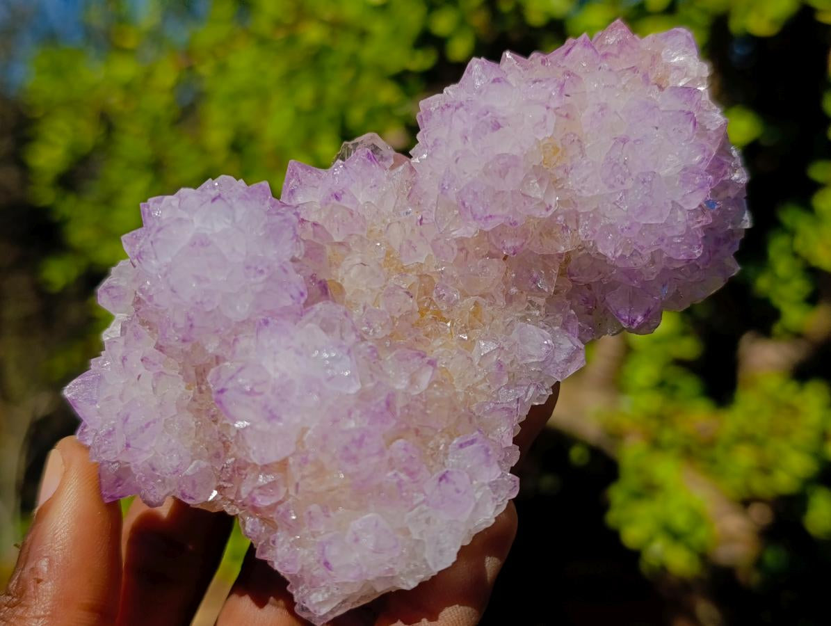 Natural Spirit Amethyst Clusters x 3 From Boekenhouthoek, South Africa - Toprock Gemstones and Minerals 