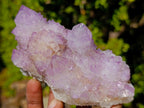 Natural Spirit Amethyst Clusters x 3 From Boekenhouthoek, South Africa - Toprock Gemstones and Minerals 