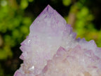 Natural Spirit Amethyst Clusters x 3 From Boekenhouthoek, South Africa - Toprock Gemstones and Minerals 