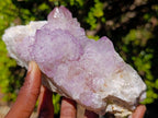 Natural Spirit Amethyst Clusters x 3 From Boekenhouthoek, South Africa - Toprock Gemstones and Minerals 