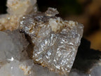 Natural Drusy Quartz Coated Calcite Pseudomorph Specimens x 12 From Albert's Mountain, Lesotho - Toprock Gemstones and Minerals 