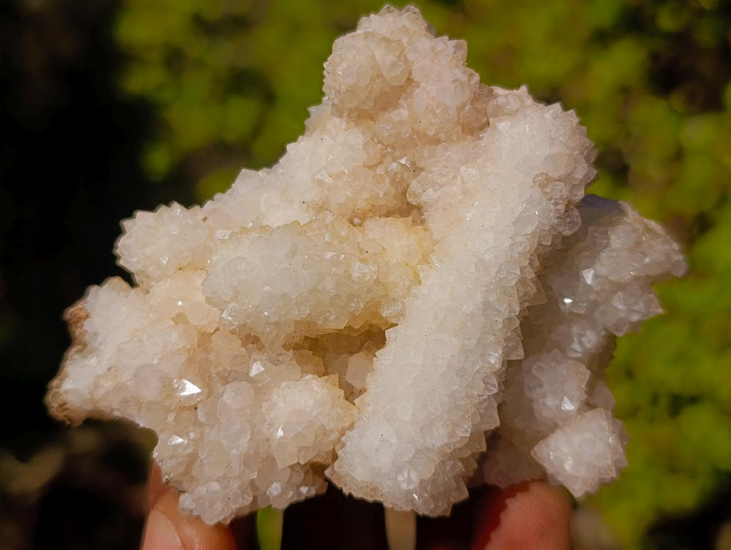 Natural Drusy Quartz Coated Calcite Pseudomorph Specimens x 12 From Albert's Mountain, Lesotho - Toprock Gemstones and Minerals 