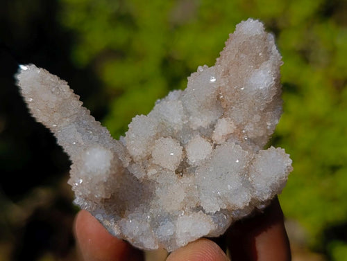 Natural Drusy Quartz Coated Calcite Pseudomorph Specimens x 12 From Albert's Mountain, Lesotho - Toprock Gemstones and Minerals 