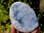 Natural Blue Celestite Geode Specimens x 2 From Sakoany, Madagascar - Toprock Gemstones and Minerals 
