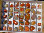 Polished Small Polychrome Jasper Free Forms x 35 From Androka, Madagascar - Toprock Gemstones and Minerals 