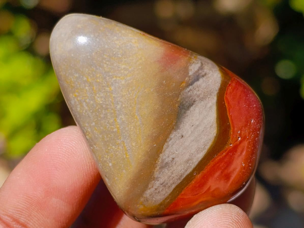 Polished Small Polychrome Jasper Free Forms x 35 From Androka, Madagascar - Toprock Gemstones and Minerals 