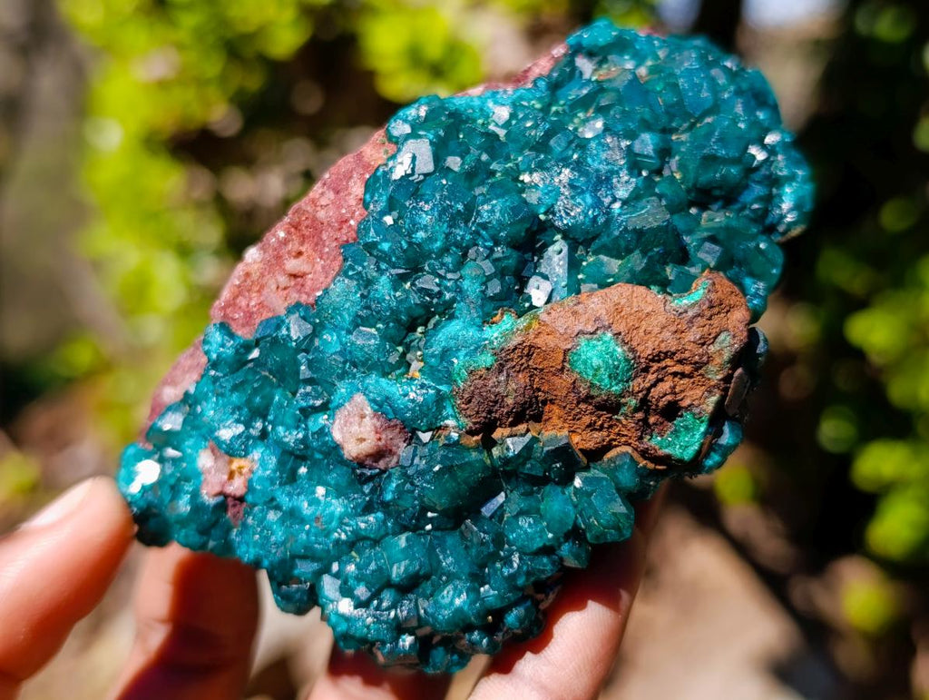 Natural Dioptase Specimens with Crystalline Malachite on Dolomite Matrix x 3 From Mashamba East Mine, Congo - Toprock Gemstones and Minerals 