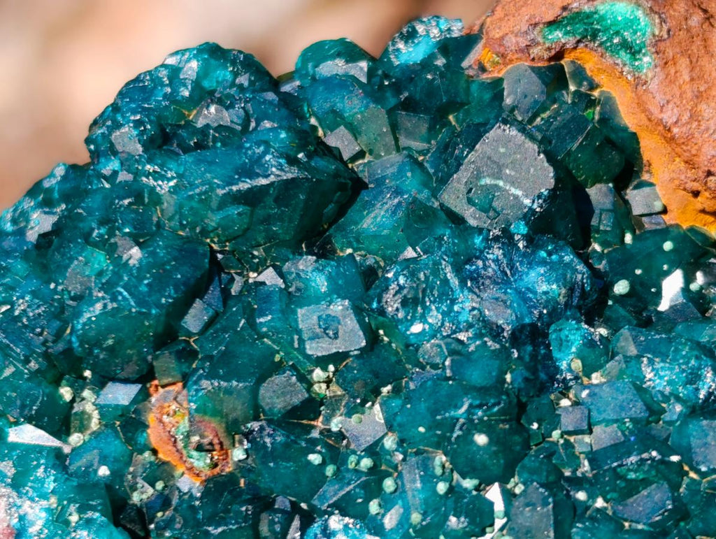 Natural Dioptase Specimens with Crystalline Malachite on Dolomite Matrix x 3 From Mashamba East Mine, Congo - Toprock Gemstones and Minerals 