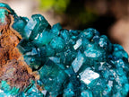 Natural Dioptase Specimens with Crystalline Malachite on Dolomite Matrix x 3 From Mashamba East Mine, Congo - Toprock Gemstones and Minerals 