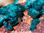 Natural Dioptase Specimens with Crystalline Malachite on Dolomite Matrix x 3 From Mashamba East Mine, Congo - Toprock Gemstones and Minerals 