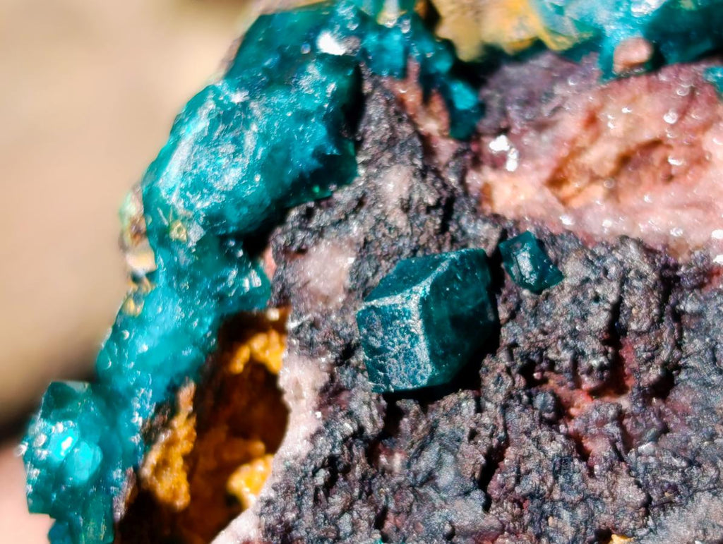 Natural Dioptase Specimens with Crystalline Malachite on Dolomite Matrix x 3 From Mashamba East Mine, Congo - Toprock Gemstones and Minerals 