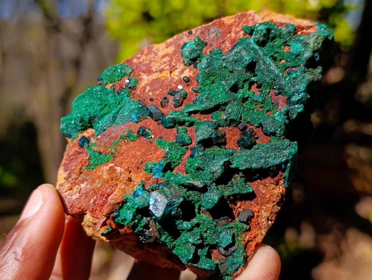 Natural Dioptase Specimens with Crystalline Malachite on Dolomite Matrix x 3 From Mashamba East Mine, Congo - Toprock Gemstones and Minerals 