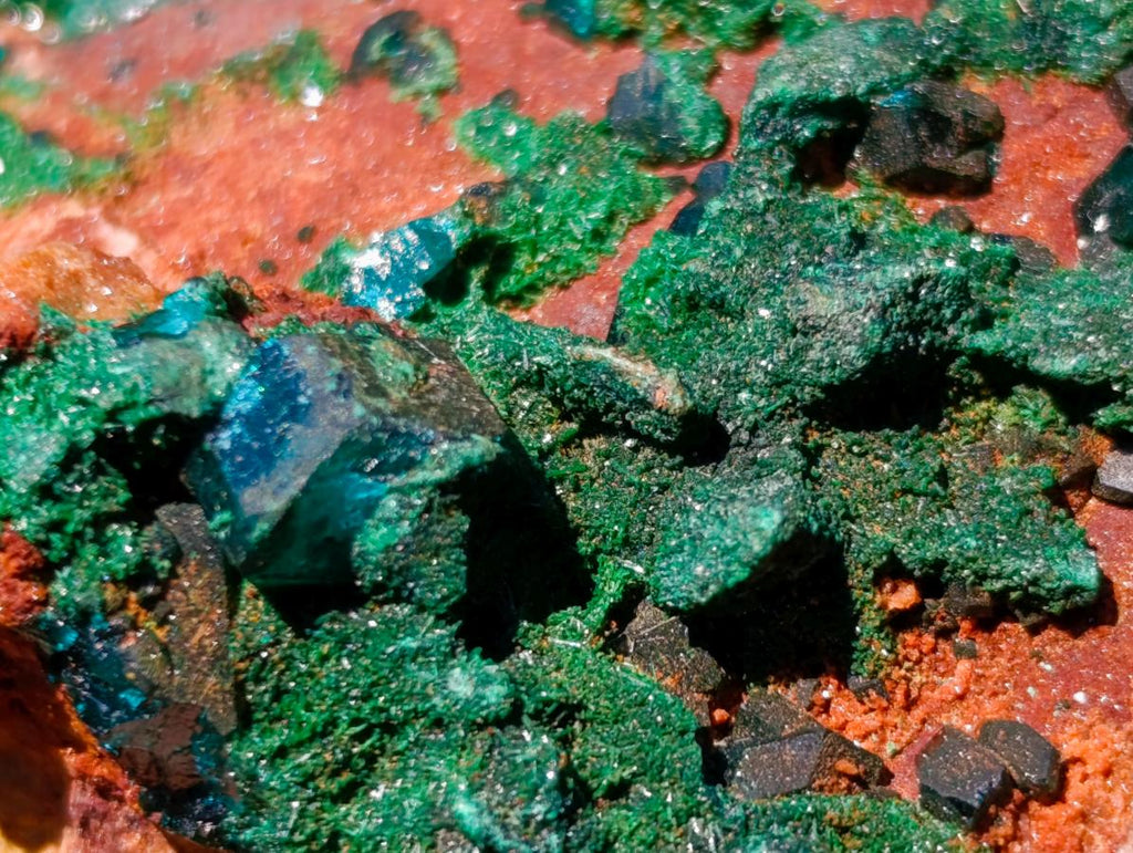 Natural Dioptase Specimens with Crystalline Malachite on Dolomite Matrix x 3 From Mashamba East Mine, Congo - Toprock Gemstones and Minerals 