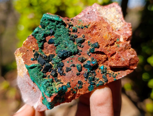 Natural Dioptase Specimens with Crystalline Malachite on Dolomite Matrix x 3 From Mashamba East Mine, Congo - Toprock Gemstones and Minerals 