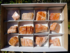 Natural Rhombohedral Sunset Orange Calcite Specimens x 12 From Spitzkop, Namibia - Toprock Gemstones and Minerals 