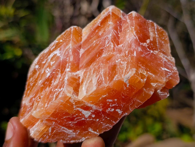 Natural Rhombohedral Sunset Orange Calcite Specimens x 12 From Spitzkop, Namibia - Toprock Gemstones and Minerals 