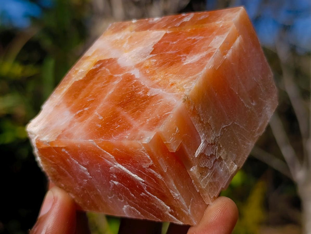 Natural Rhombohedral Sunset Orange Calcite Specimens x 12 From Spitzkop, Namibia - Toprock Gemstones and Minerals 