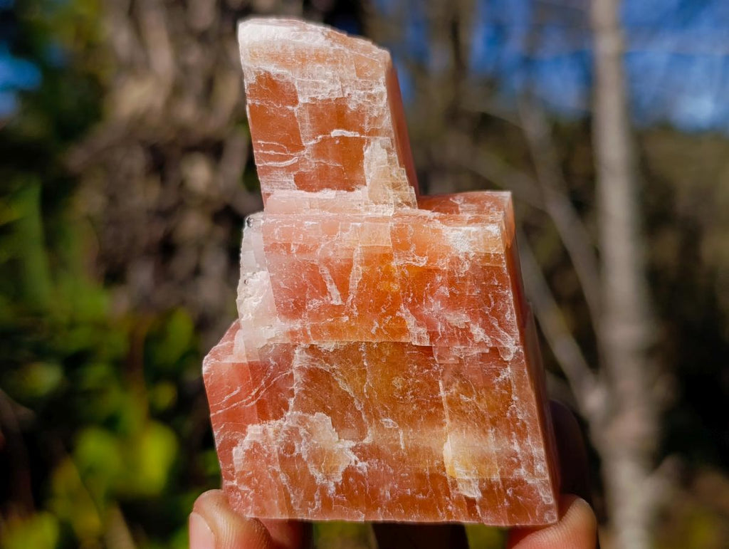 Natural Rhombohedral Sunset Orange Calcite Specimens x 12 From Spitzkop, Namibia - Toprock Gemstones and Minerals 