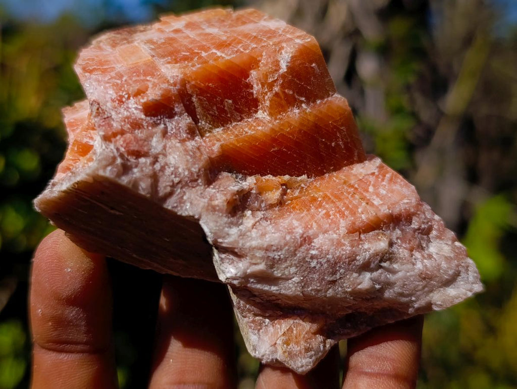 Natural Rhombohedral Sunset Orange Calcite Specimens x 12 From Spitzkop, Namibia - Toprock Gemstones and Minerals 