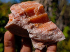 Natural Rhombohedral Sunset Orange Calcite Specimens x 12 From Spitzkop, Namibia - Toprock Gemstones and Minerals 