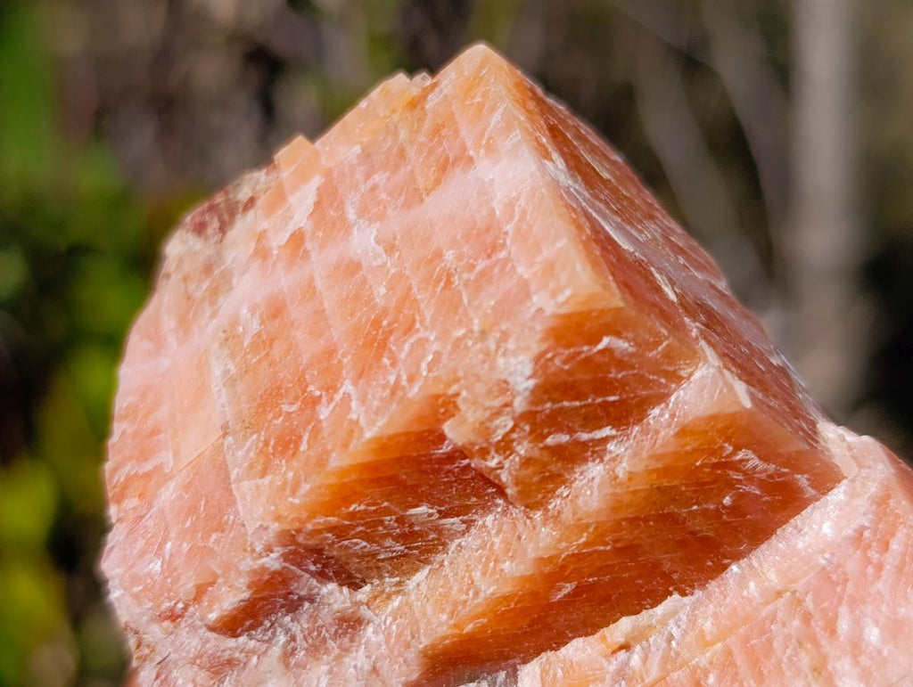 Natural Rhombohedral Sunset Orange Calcite Specimens x 12 From Spitzkop, Namibia - Toprock Gemstones and Minerals 