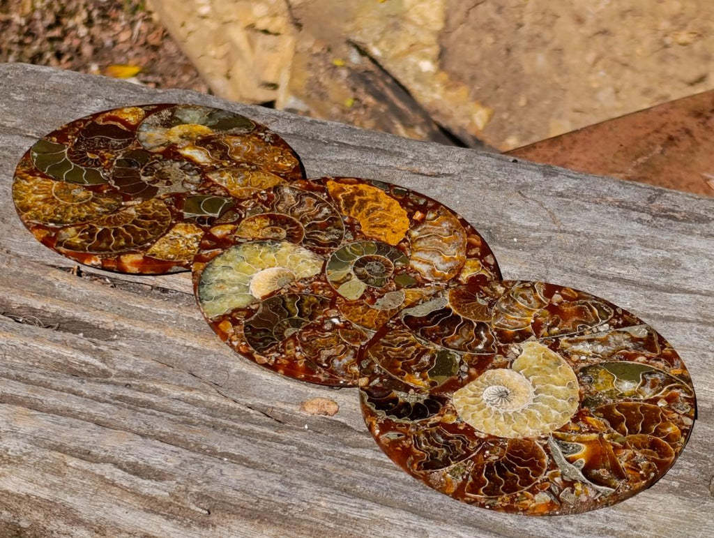 Hand Made Ammonite Conglomerate Table Coasters x 6 From Mahajanga, Madagascar - Toprock Gemstones and Minerals 